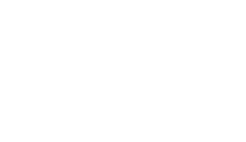 HAUS ZUFALL